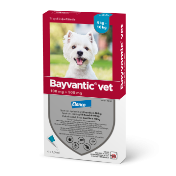 BAYVANTIC VET paikallisvaleluliuos 100/500 mg koirille 4–10 kg 4 x 1 ml